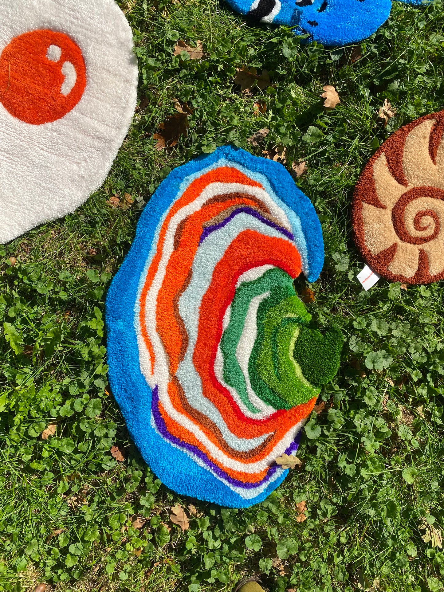 Turkey Tail Mushroom Wall Rug 🍄