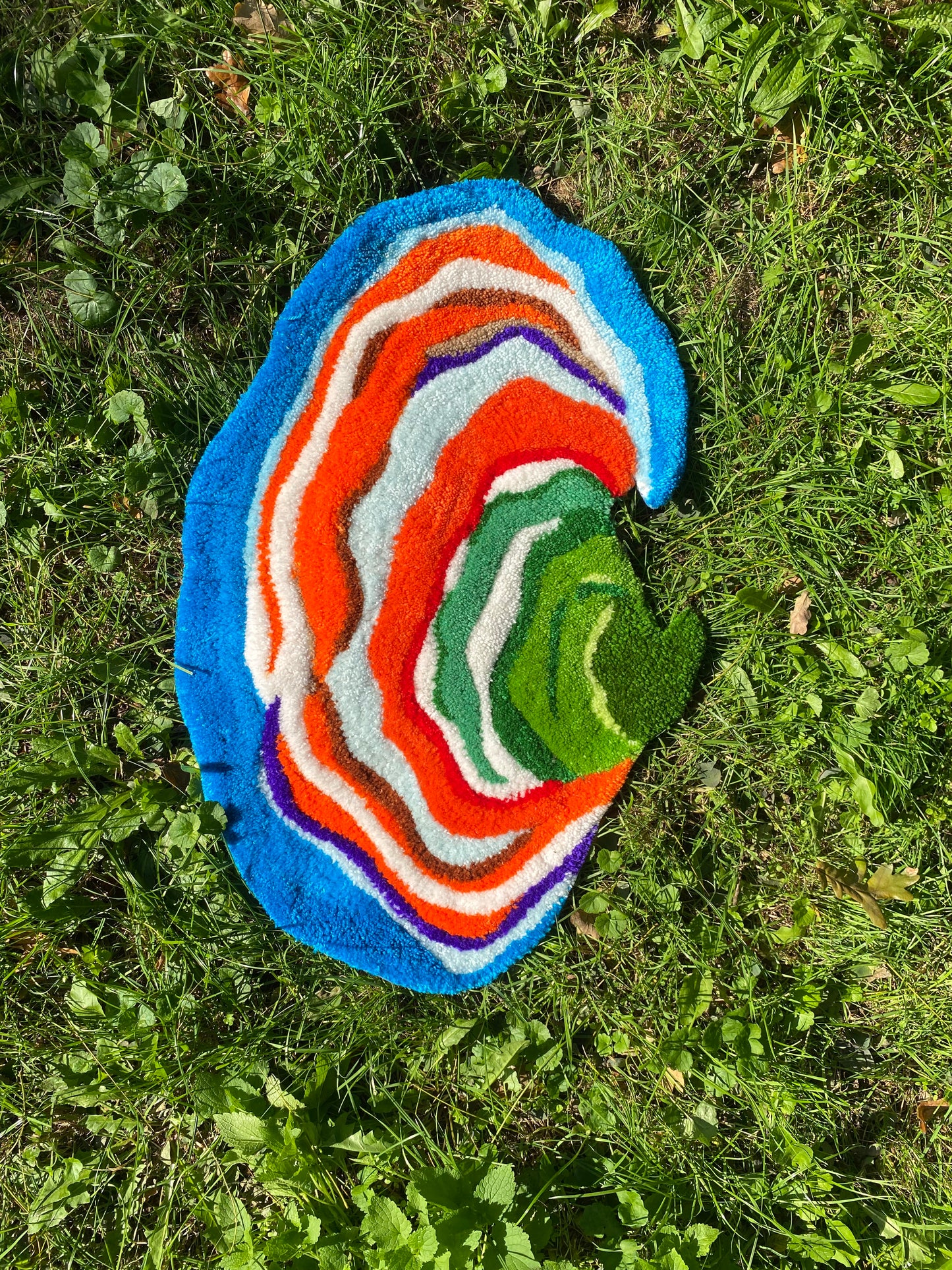 Turkey Tail Mushroom Wall Rug 🍄
