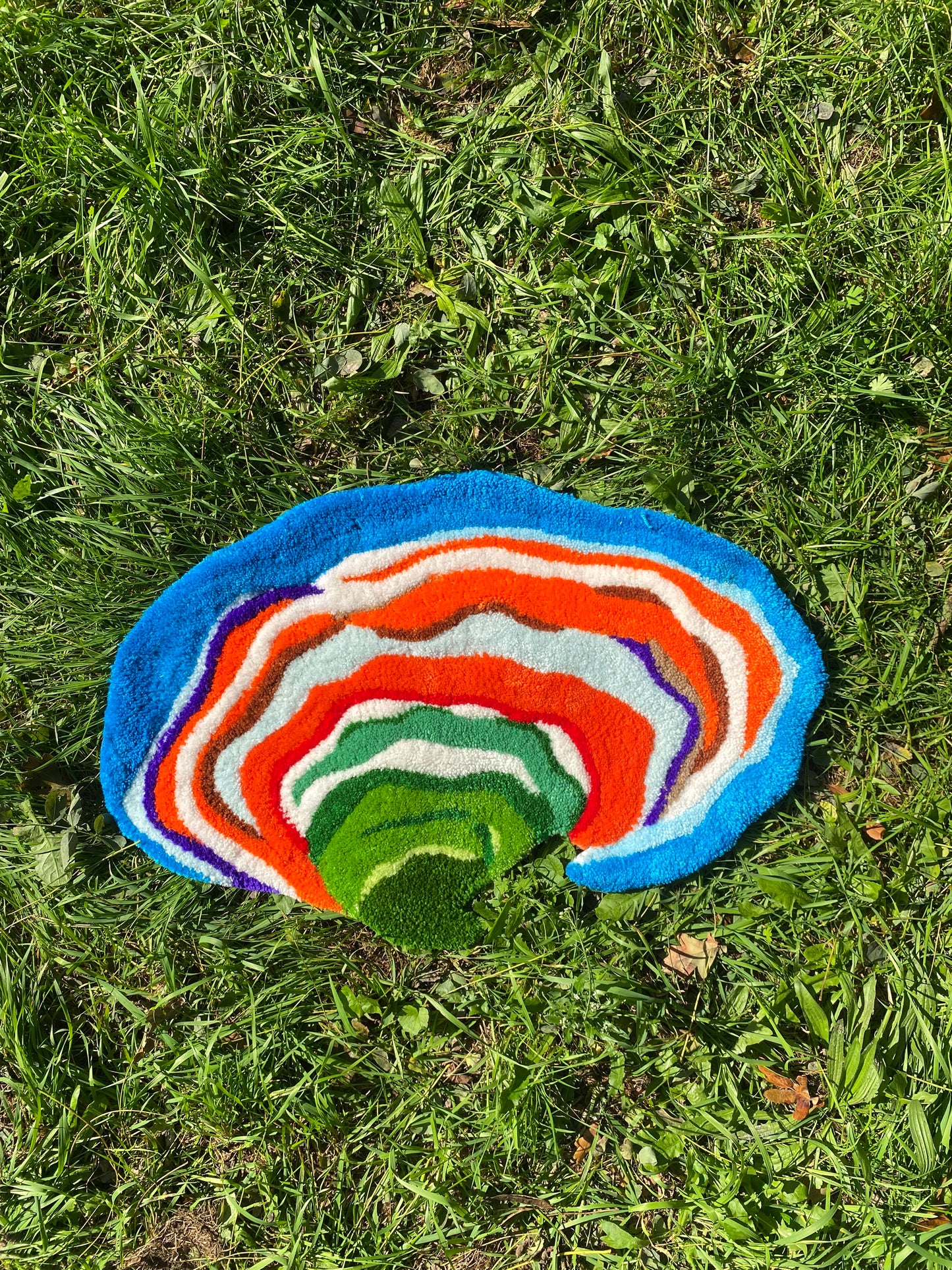 Turkey Tail Mushroom Wall Rug 🍄